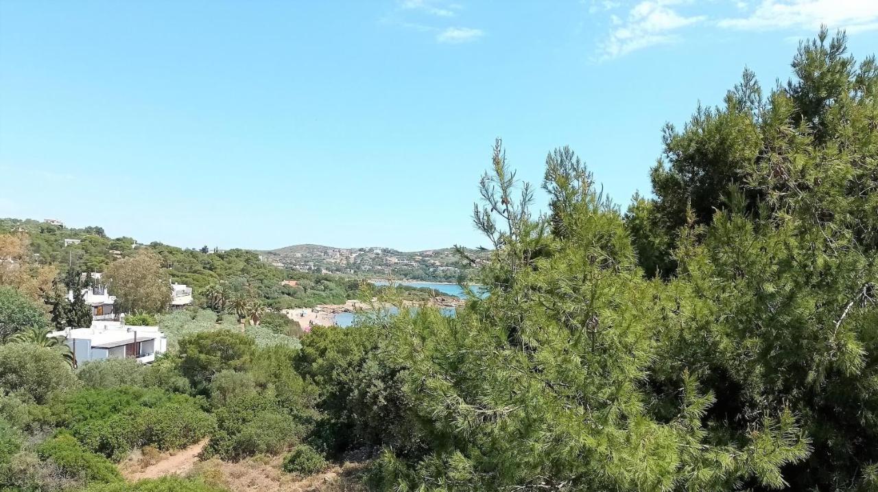 Dea Del Mare Complex In Front Of The Sea. Villa Sounion Exterior photo
